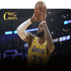 Sports bettor using wjevo app for live betting